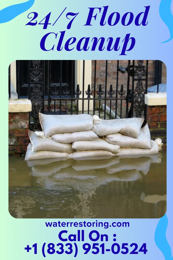 24/7 Flood Cleanup in Bell Buckle, TN