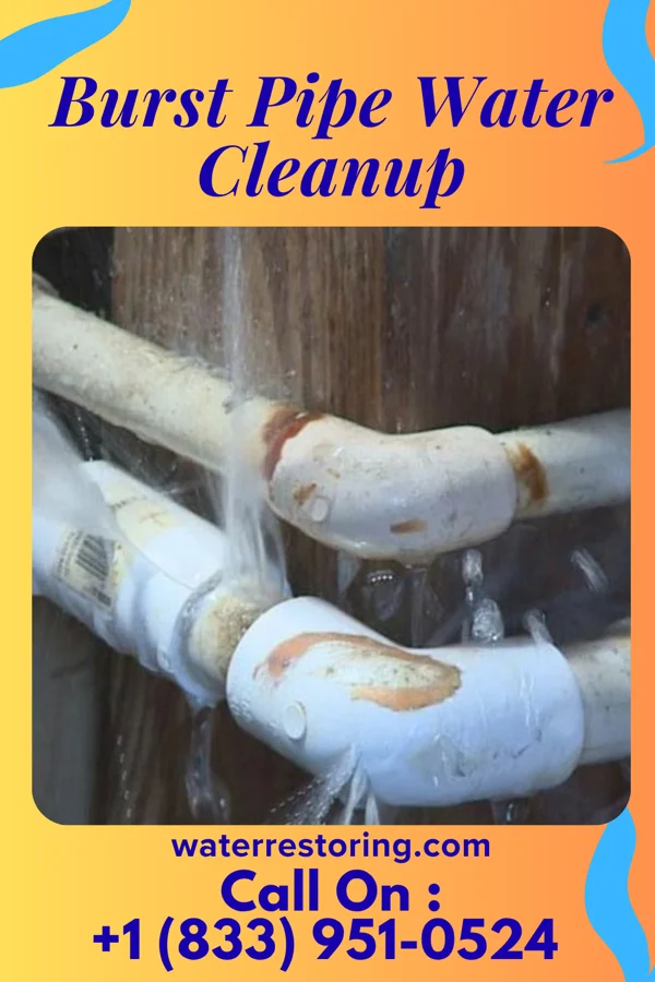 Burst Pipe Water Cleanup in Bell Buckle, TN