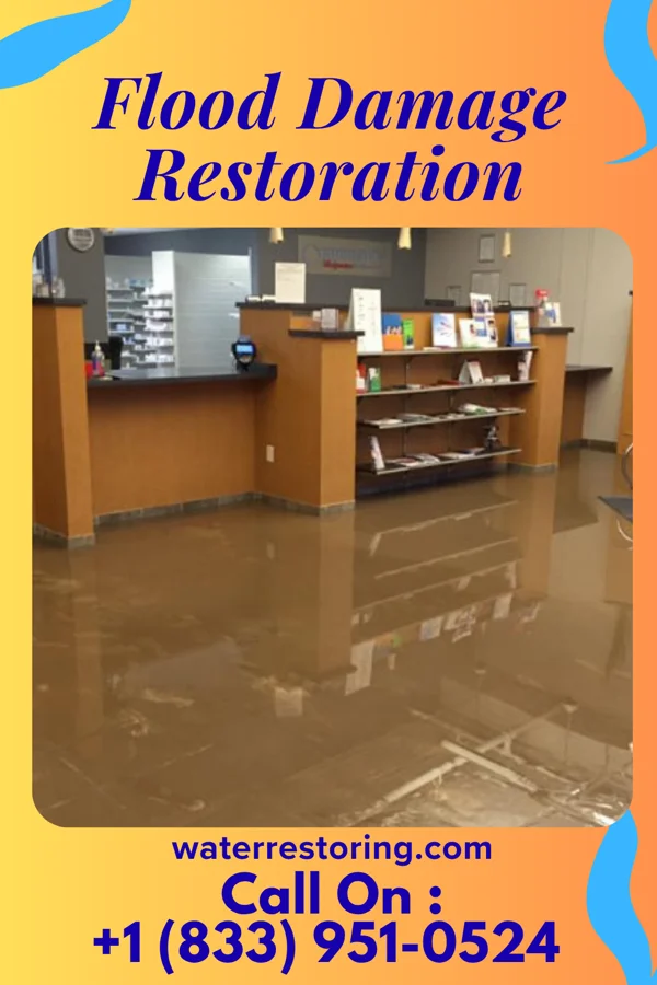 Flood Damage Restoration in Bell Buckle, TN