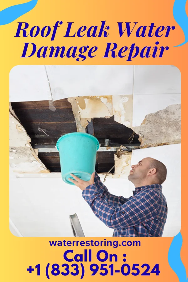 Roof Leak Water Damage Repair in Bell Buckle, TN