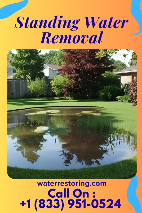 Standing Water Removal in Bell Buckle, TN